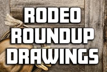 Rodeo Roundup Drawings